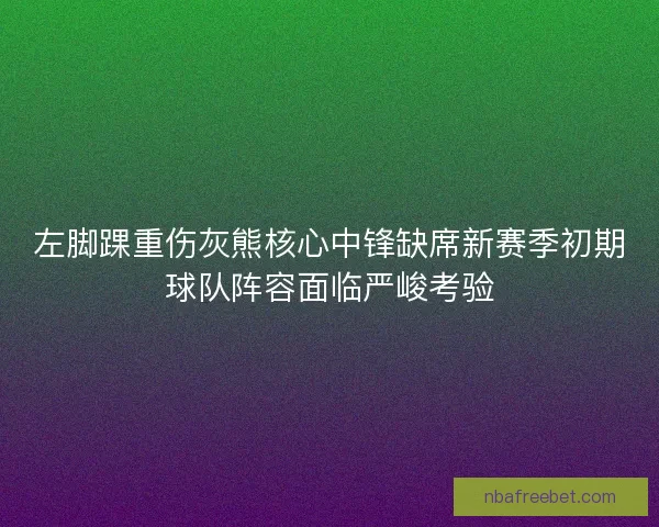 左脚踝重伤灰熊核心中锋缺席新赛季初期球队阵容面临严峻考验
