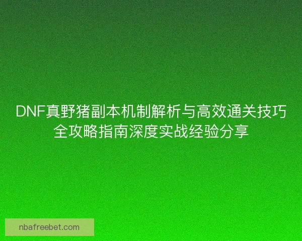 DNF真野猪副本机制解析与高效通关技巧全攻略指南深度实战经验分享