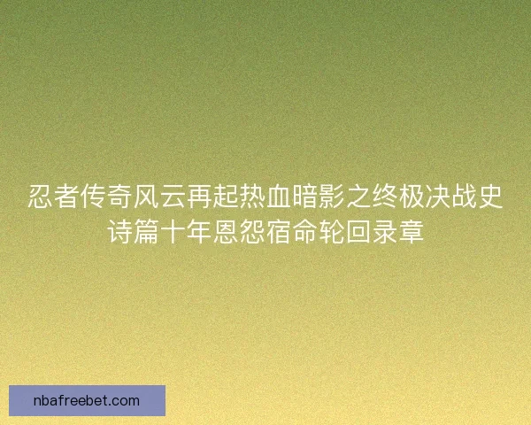忍者传奇风云再起热血暗影之终极决战史诗篇十年恩怨宿命轮回录章